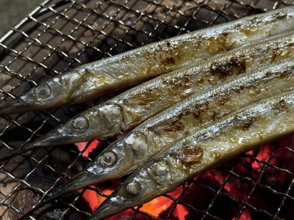 越田の干物セット　”サヨリの丸干し” - 画像 (3)