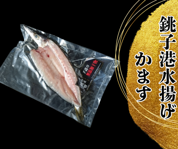 越田の干物セット　”カマスの開き”