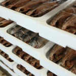 文化干しを手作業で箱詰め